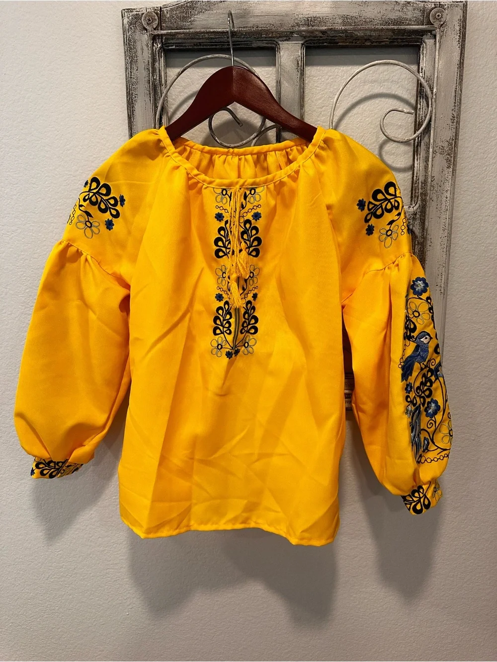 Ukrainian Vishivanka and Skirt Set